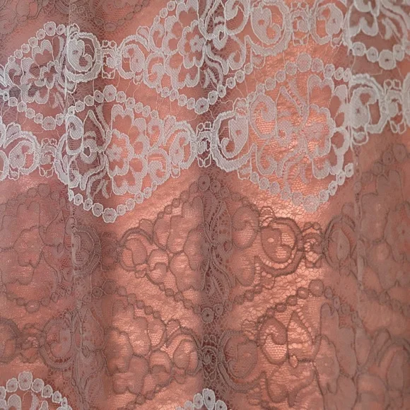 Sharagano lace light pink and white lined lace dress Size4 - Picture 4 of 8
